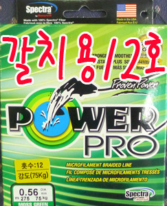 파워프로(Power Pro) 갈치용 합사 12호 - 275/135m